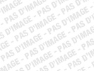 Programme immobilier de chalet et demi-chalet neuf à Combloux